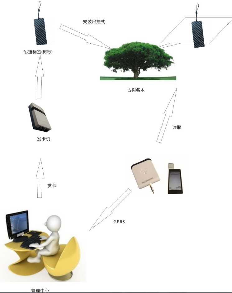 凱泰科技RFID智能管理系統(tǒng)之--古樹管理系統(tǒng)解決方案